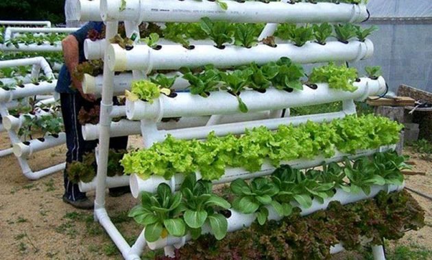 7 Usaha Modal minim yang dapat dilakukan oleh Pemula