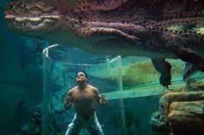 10 Kolam ter Aneh Didunia yang Ramai pengunjung