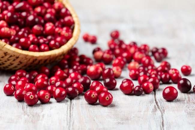 Berikut 4 Manfaat Penting Buah Cranberry untuk Kesehatan Tubuh
