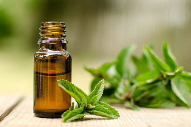 Manfaat Herbal Tumbuhan Peppermint Untuk Kesehatan Yang Mengejutkan