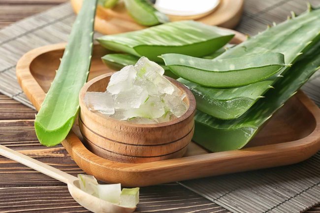 10 Manfaat Lidah Buaya Untuk Kesehatan Tubuh